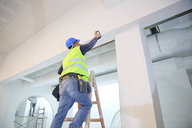 Best Drywall Removal and Disposal  in Somonauk, IL